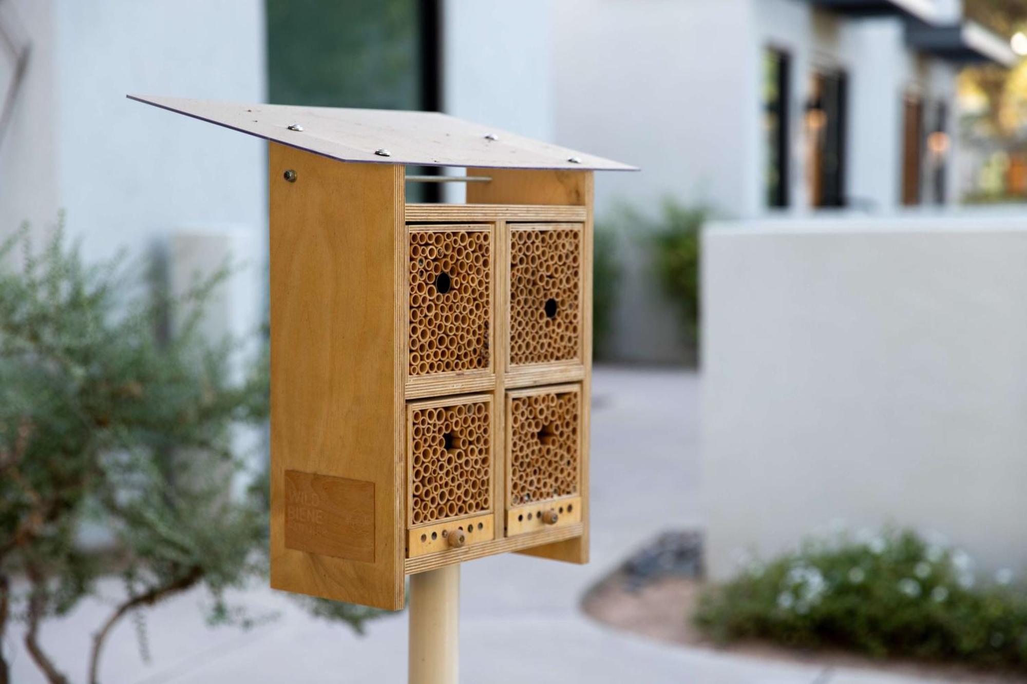 Andaz Scottsdale Resort & Bungalows Kültér fotó